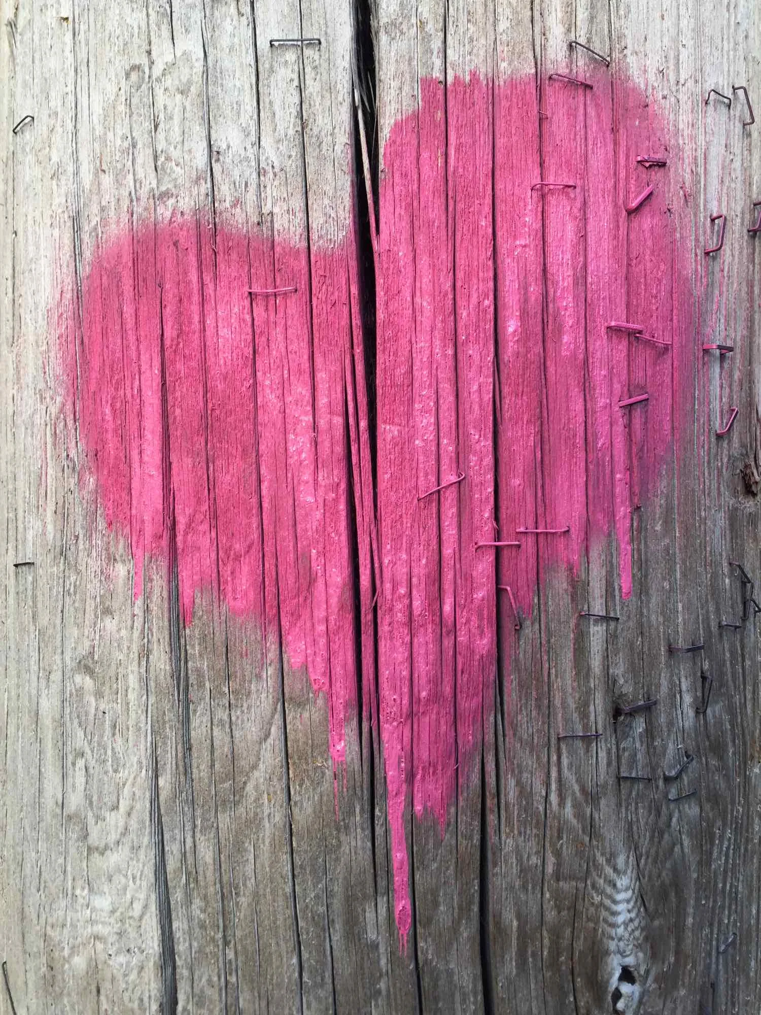 Just Love